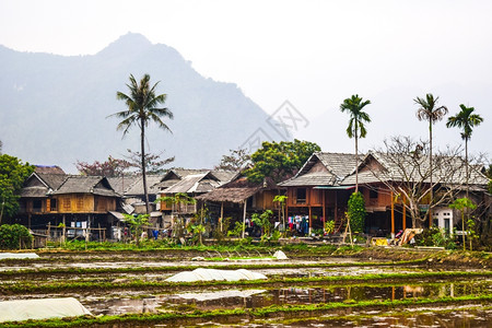越南西北传统村图片