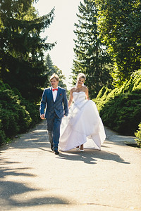 在阳光明媚的日子在夏公园行走的快乐新娘和郎图片