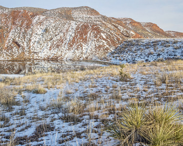 红色沙石悬崖湖泊草原雪Yucca科罗拉多堡附近北部红山开放空间冬季图片