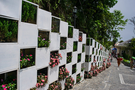 在越南大BaNaHills的花墙图片