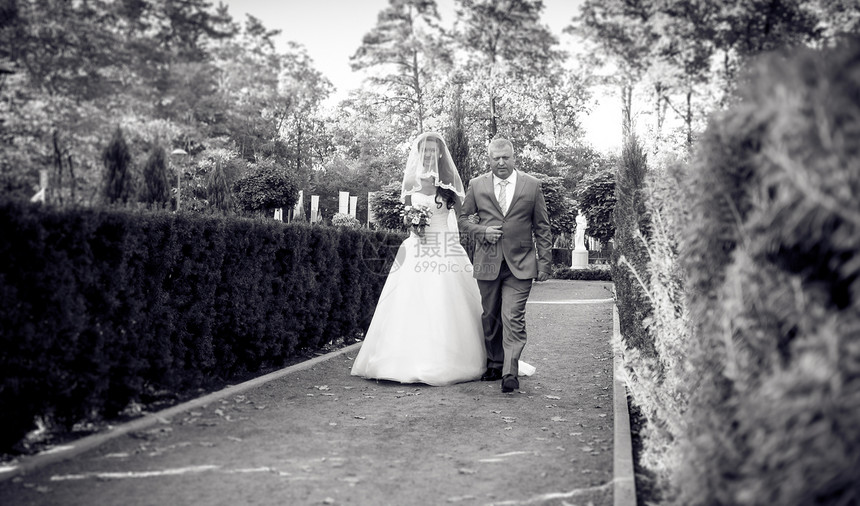 与父亲一起在公园散步的幸福新娘黑白照片图片