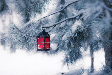 雪树上的红灯笼背景图片