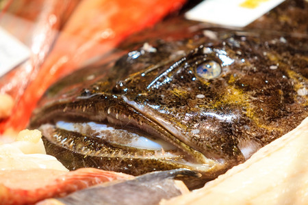 Seafood挪威卑尔根鱼市上的场鳄图片