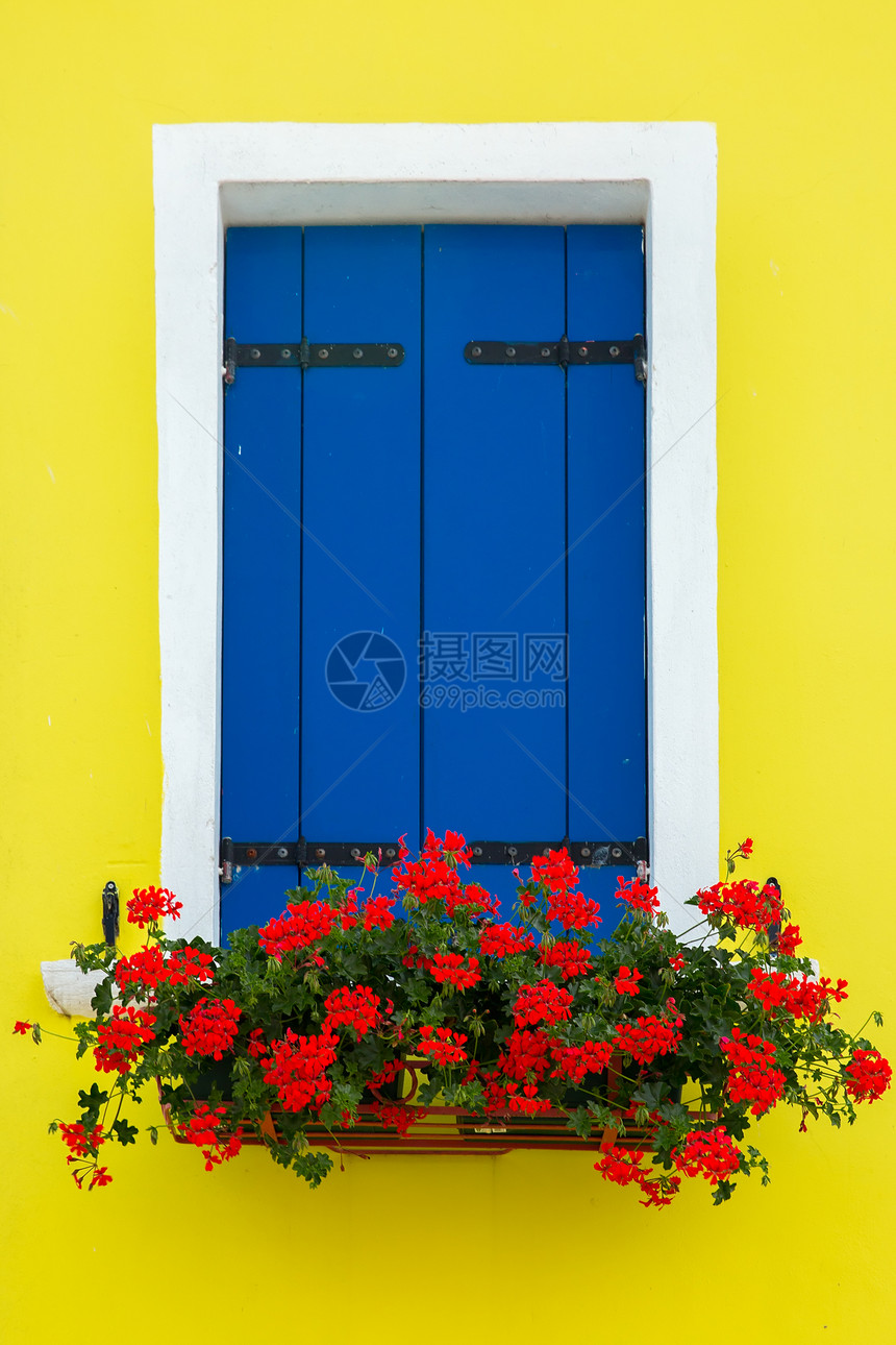 在著名的意大利威尼斯岛布拉诺的黄色房屋墙上挂着百叶窗和鲜花的蓝色玻璃窗图片
