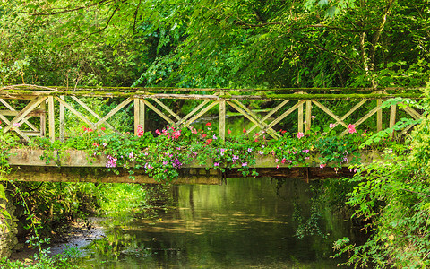 在绿色花园的河溪上旧小桥自然和景观图片
