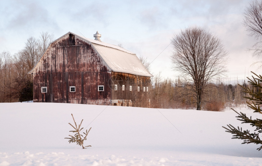 在一个旧谷仓周围的地上露着清雪图片