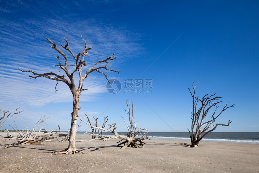 美国南卡罗来纳州埃迪斯托岛伊植物湾海滩图片