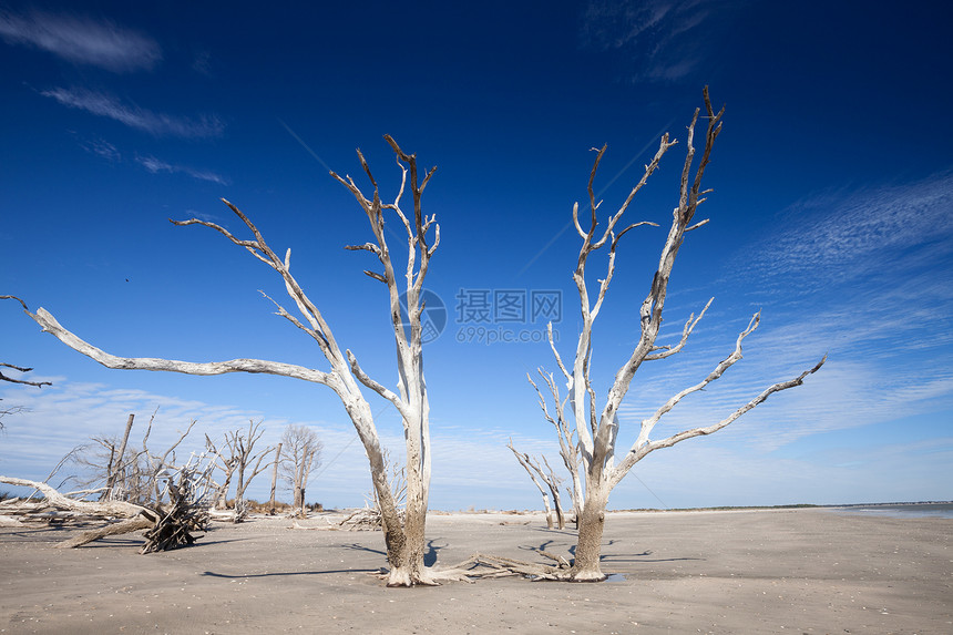 美国南卡罗来纳州埃迪斯托岛伊植物湾海滩图片