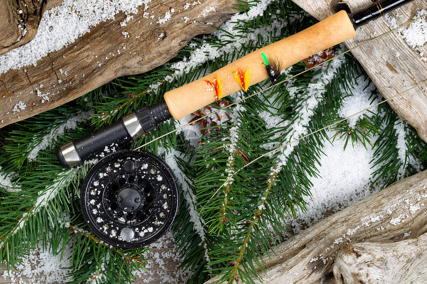 长青树枝和雪覆盖旧漂浮木的渔具图片