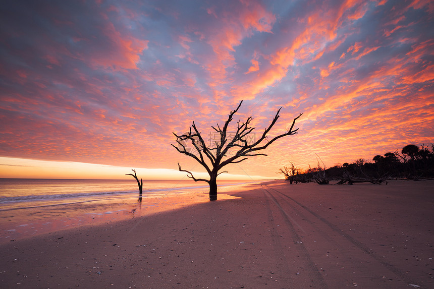 美国南卡罗来纳州埃迪斯托岛日落阴云的植物湾海滩图片
