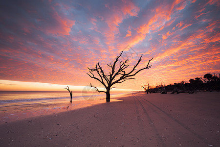 美国南卡罗来纳州埃迪斯托岛日落阴云的植物湾海滩高清图片