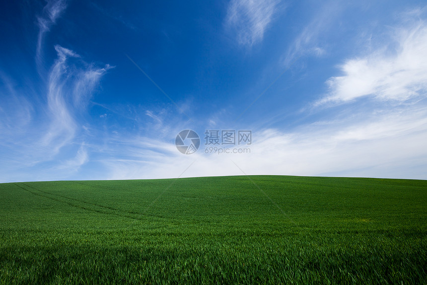 绿草和蓝天空背景图片