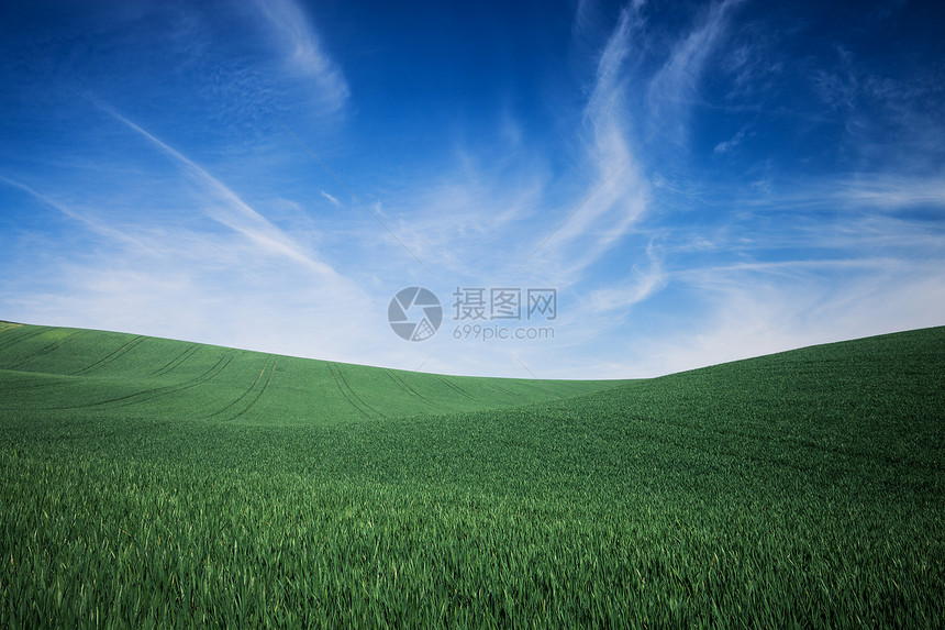 绿草和蓝天空背景图片