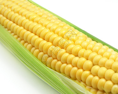孤立的玉米健康饮食设计要素图片