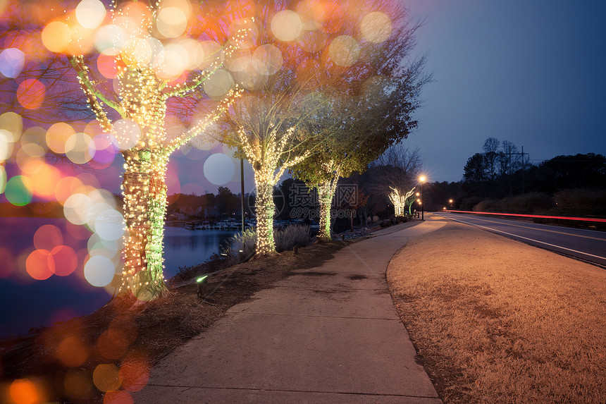 在湖边的圣诞树上装饰着的树图片