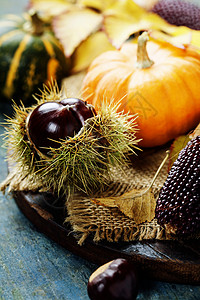 木板上季节水果和蔬菜的秋天概念高清图片