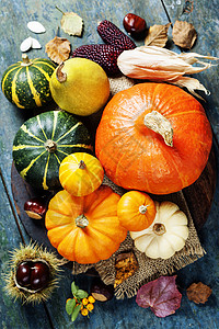 木板上季节水果和蔬菜的秋天概念高清图片