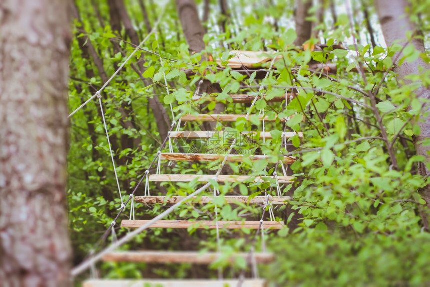 绿林公园的木楼梯带绳子的木林楼梯图片