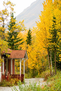 山道穿过一个美丽的小屋入口图片