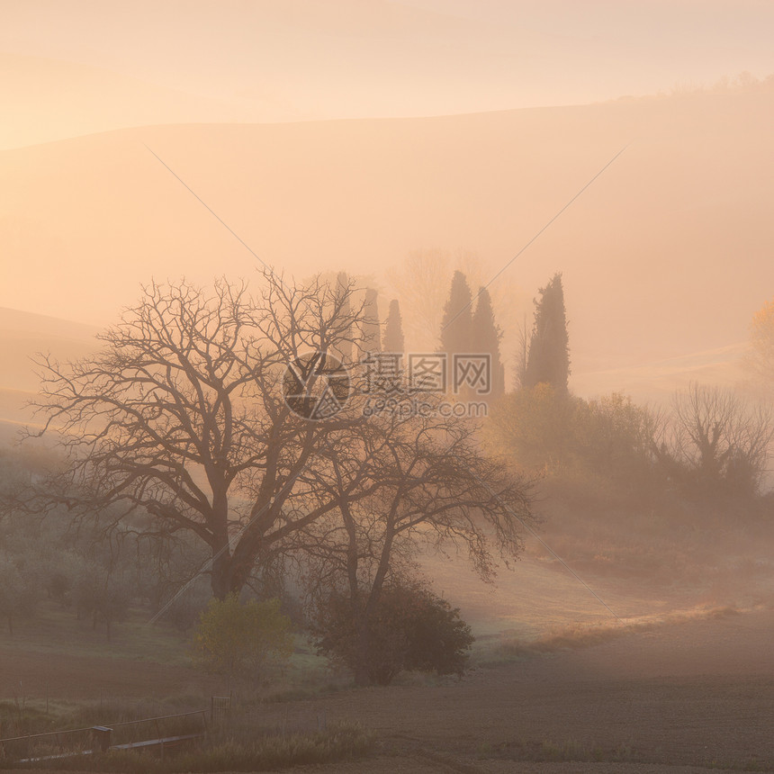 日出在农村地貌贝尔维德雷托斯卡纳意大利欧洲图片