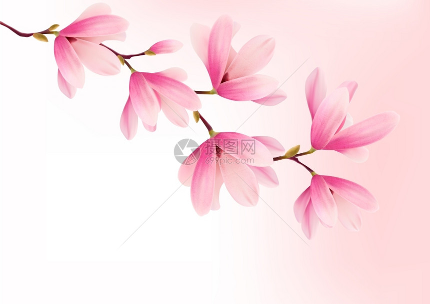 粉红色花朵的情人矢量背景图片