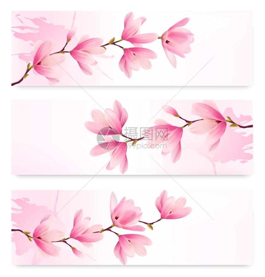 三个春天的横幅加上粉红色花朵的开早午餐矢量图片