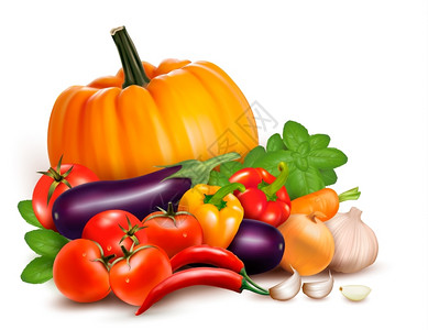 新鲜蔬菜健康食品矢量插图图片