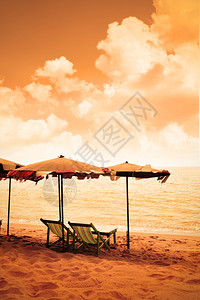 沙滩的椅子和雨伞图片