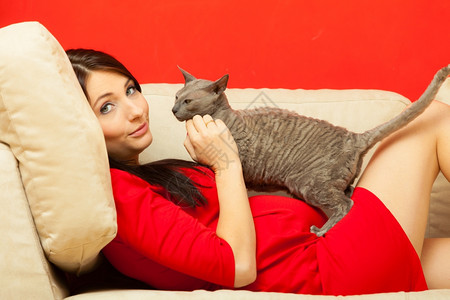 穿着红色礼服的美丽优雅孕妇在沙发上放松和猫宠玩耍高清图片