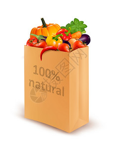百分之的天然装满新鲜蔬菜的纸袋饮食概念矢量图片