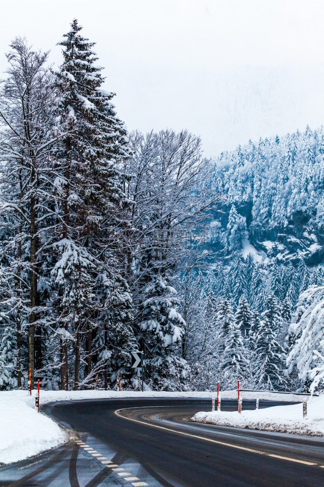 冬季山区公路地貌公路和树上覆有雪的木图片