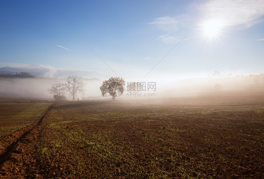 阳光和雾的乡村风景托斯卡纳意大利欧洲图片
