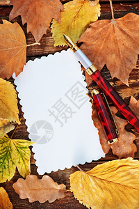 秋叶与钢笔图片