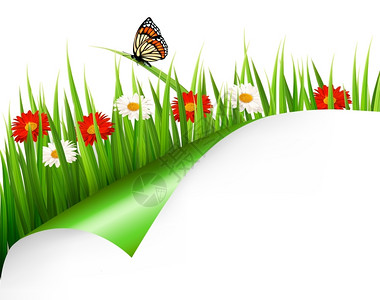 春底有鲜花草和蝴蝶矢量图片