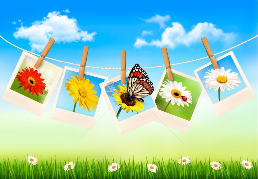 带有鲜花和蝴蝶照片的自然背景矢量插图图片