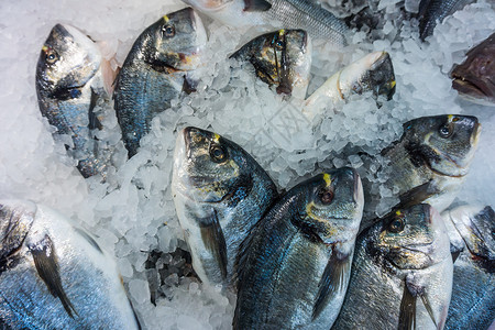 冰上多拉鱼市场上的海产食品图片