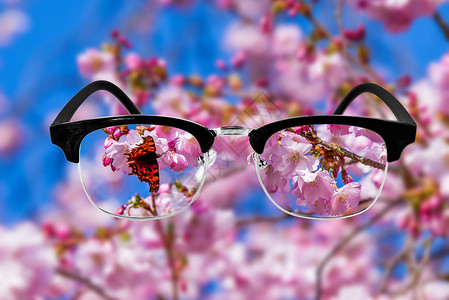 樱花光学保健概念带眼镜的医学光概念视觉眼镜图片