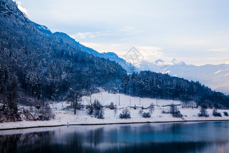 美妙的冬季风景美丽的冬季风景全天背天空高清图片素材