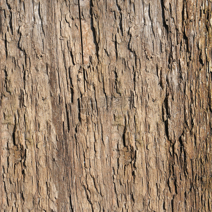 树皮木质图片