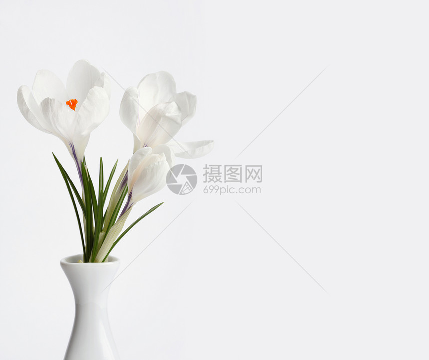 光背景的白花束图片