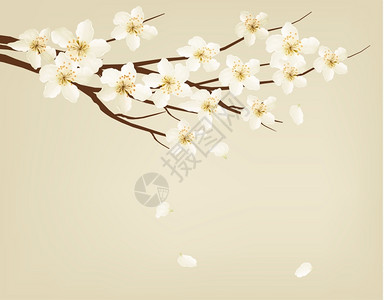春天树枝上的美丽花朵矢量背景图片