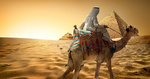 在金字塔附近沙漠中骑骆驼的贝都因人背景图片