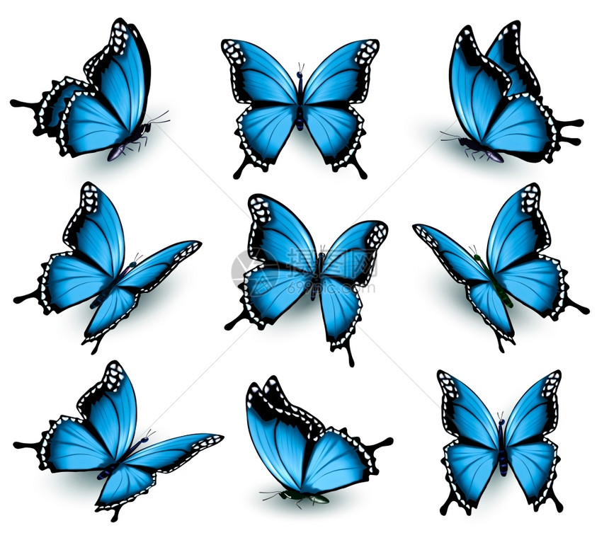 卡通美丽的蓝色蝴蝶矢量元素图片