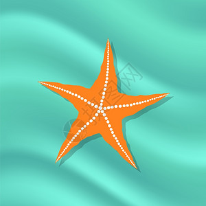 北太平洋海星绿色背景上的的海星矢量元素插画