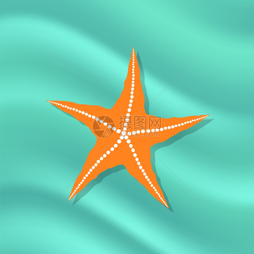 Azure背景上的加勒比海星洋底上有大量Cushion海星Azure背景上的加勒比海星图片
