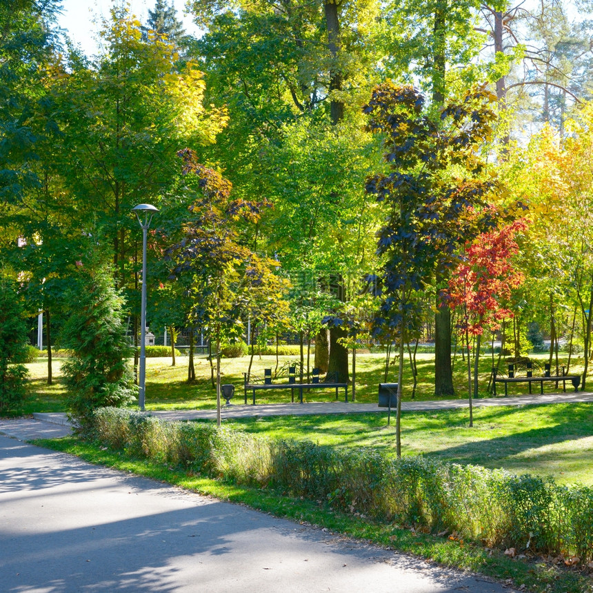 公园的秋天风景图片