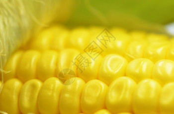 鲜玉米插孔详细拍摄图片