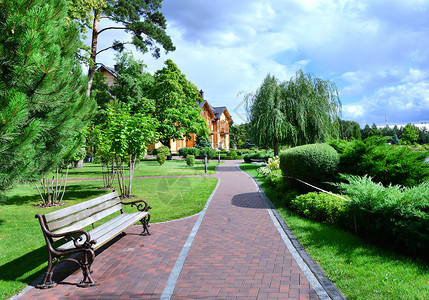 夏季绿色公园乌克兰美丽的公园图片