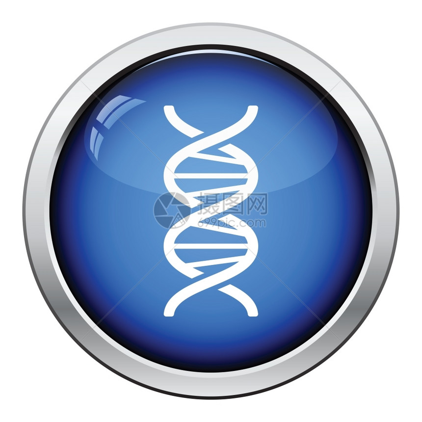 DNA图标光滑按钮设计图片