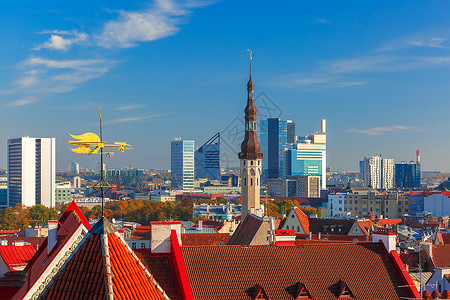爱沙尼亚塔林Tallinn当天背景的摩大楼图片